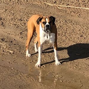 Meet your Posher, Tracye